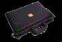 PH02742G.gif (20645 bytes)